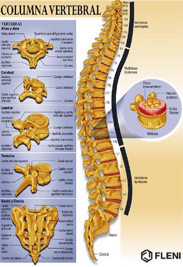 TERAPIA REHABILITACION terapia rehabilitacion: