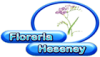 Floreria Heseney-Flores