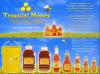 Tropical Honey Company SA de CV-miel