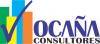 Ocaa Consultores- Encuestas de opinin y mercado