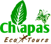 Ecotourschiapas-agencias de turismo