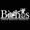 Foto de Bichos -musica en vivo