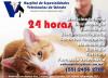 Hospital de especialidades veterinarias de oriente-salud animal,