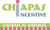 Foto de Chiapas Incentive