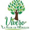 Foto de Vivero la flor de morelos-productores de todo tipo de plantas