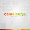 Camaleon Designs-publicidad interactiva