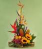 Foto de Floreria y manualidades christhopher-productores de crisantemo