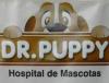 Foto de DR. PUPPY Hospital de Mascotas-vacunaciones, desparasitaciones,