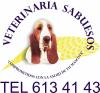 Foto de Veteriaria sabuesos-cirugia veterinaria
