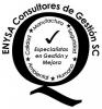 Enysa consultores de gestin sc-gestin de procesos
