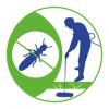 Foto de Fumigacion profesional termitas y control de plagas-tratamientos