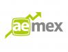 Asesoria empresarial mexicana