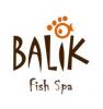 Balik Fish Spa