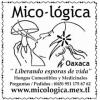 Mico-logica Oaxaca