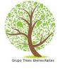 Foto de Grupo trees bienes raices