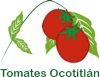 Tomates Ocotitln-tomates de invernadero