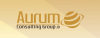 Aurum Consulting Group