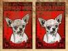 Chihuahuas Day - Criadero de raza chihuahua