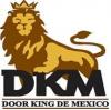 Door king de mexico sa de cv
