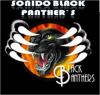 Sonido Black Panther