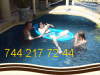 Foto de Playa costera hotel boutique 7442177244 lujo confort precio