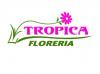 Floreria Tropica