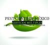 Pest control mexico