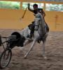 Foto de Clases de equitacion, rejoneo y toreo a pie, escuela y caballos