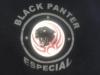 Seguridad Privada Black Panther