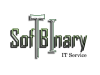 SoftBinary