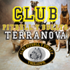 Club Pitbull y Bullys Terranova