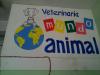 Veterinaria  mundo animal