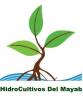 Foto de Hidro Cultivos Del Mayab