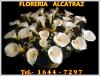 Floreria Alcatraz Arreglos Florales y con Globos