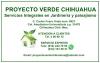 Proyecto verde chihuahua