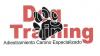 Foto de Dog Training Adiestramiento Canino Especializado