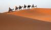 Foto de Camel Trekking in Merzouga