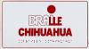 Braille internacional - chihuahua