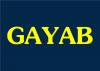 Soluciones Legales GAYAB