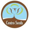 Foto de Centro Seeds