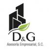 D&G Asesora Empresarial S.C.