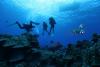 Foto de Odisea diving center