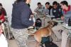 Foto de Asesores en seguridad integral canina