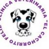 Clnica Veterinaria "El Cachorrito Feliz"