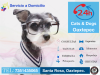 Clinica veterinaria Cats & Dogs Oaxtepec