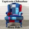 Foto de Tapicera Chihuahua - Nova Pele