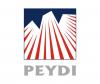 Peydi (proyectos estudios y desarrollo de ingeniera S.A de C.V)