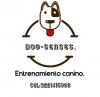 Dog-sense